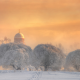 tree, winter, sky, nature, snow, church, dome, saint petersurg, russia wallpaper