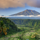 bali, palms, tree, field, mountains, clouds, nature, rendang, rice terrace wallpaper