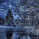 nature, winter, river, trees, fir trees, sky, clouds, forest wallpaper