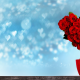 holidays, pot, tree, flowers, rose, heart, bokeh, valentines day wallpaper