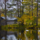 finland, nature, landscape, lake, tree, autumn, birds, swan, house wallpaper