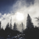 trees, forest, fog, clouds wallpaper
