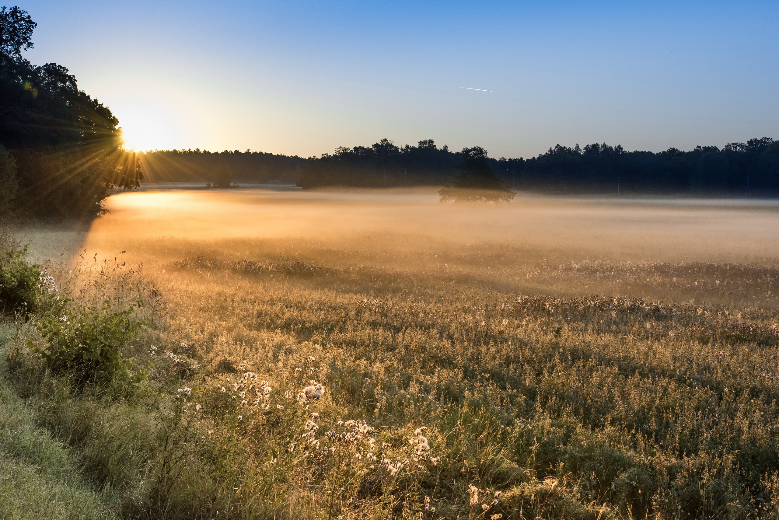 Туман стелется над полями и над синей. Раннее утро в поле. Утреннее поле в тумане. Ранний рассвет в поле. Утро поле лес.