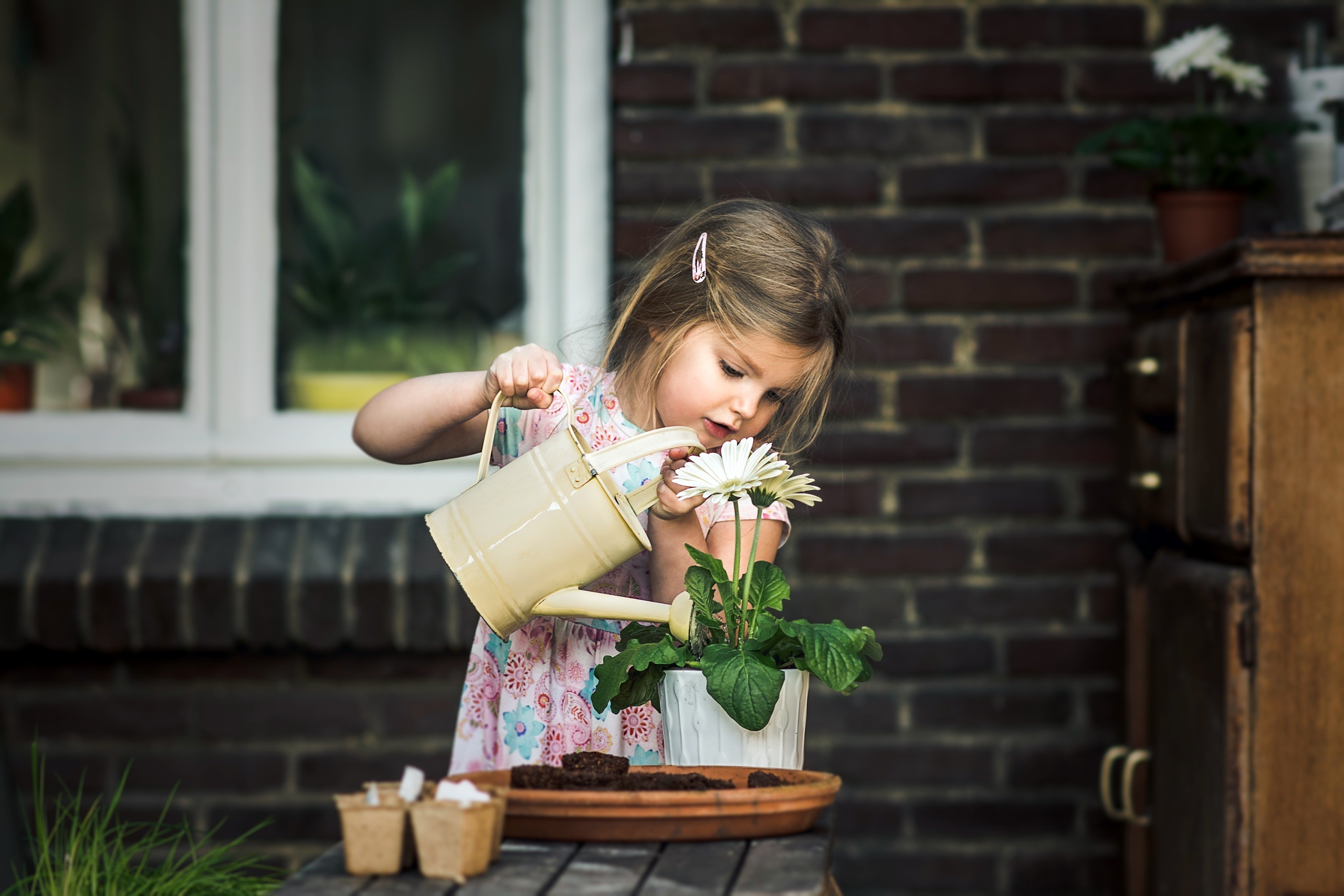 Девочка живет одна в доме. Девочка с цветами. Дети поливают цветы. Девочка поливает цветы. Полив цветов для детей.