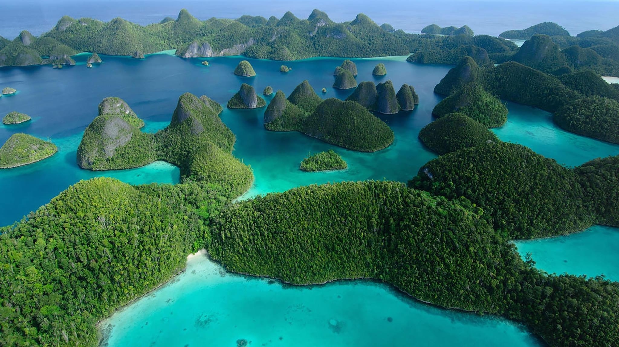 Четырех тысячах островов. Архипелаг Раджа Ампат. Raja Ampat Индонезия. Раджа Ампат дайвинг. Остров Раджа Ампат в Индонезии фото.