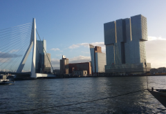 city, Rotterdam, bridge, building, De Rotterdam, Erasmusbrug, Netherlands wallpaper