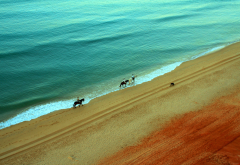 sea, beach, horse, riding, nature, animals wallpaper