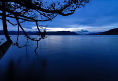 lake, night, nature, tree, clouds, dark lake wallpaper