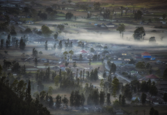 Indonesia, landscape, nature, mist, valley, village, morning, tree, fog wallpaper