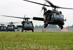 Sikorsky, UH-60, Black Hawk, helicopters, military aircraft, aviation wallpaper