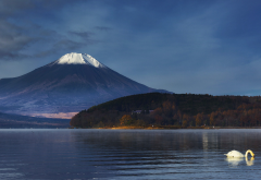 Mount, Fuji, Japan, nature, landscape, mountains, volcano, snowy peak, lake, swans, trees, birds wallpaper