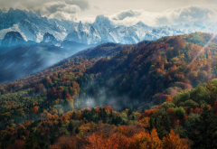mountains, forest, fall, mist, trees, nature, landscape, Alps, snowy peak, clouds, sun rays, morning wallpaper