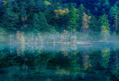 mist, nature, landscape, lake, reflection, forest, water, morning, Japan, tree wallpaper