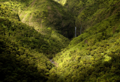 Kauai, Hawaii, waterfall, landscape, nature, mountains, forest, spring wallpaper