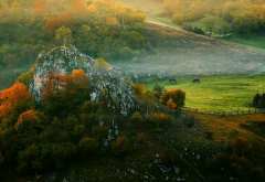 mist, autumn, forest, fence, grass, horse, rock, tree wallpaper