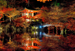 tree, forest, leaves, autumn, Japan, bridge, night, asian architecture, lights, pond, nature wallpaper