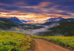 nature, landscapes, sunset, wildflowers, valleys, forests, mountains, clouds, mist wallpaper