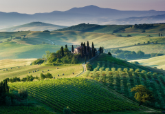 toscana, Italy, landscape, nature, hill, field wallpaper
