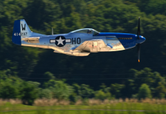 P-51 , P-51 Mustang, North American, aircraft, military aircraft wallpaper