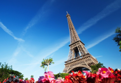 Eiffel Tower, architecture, flowers, Paris, France wallpaper