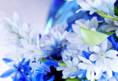 flowers, nature, blue flowers wallpaper