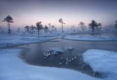 nature, winter, tree, river, snow, frost, Estonia, mist, cold wallpaper