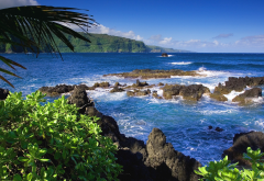 hawaii, sea, ocean, coast, tropics, usa, nature wallpaper