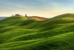 tuscany, italy, nature, hill, grass wallpaper