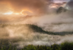 alaska, nature, mist, forest, clouds, sunrise, mountains, tree wallpaper