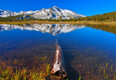 nature, mountains, lake, water, reflection, forest, snowy peak wallpaper