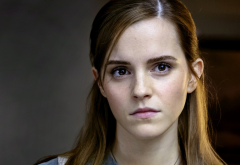 Emma Watson, women, actress, face wallpaper