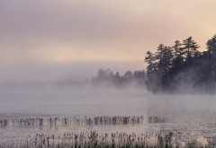 mist, fog, morning, lake, nature wallpaper
