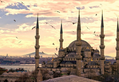 Hagia Sophia, Mosque, Turkey, seagull, bird, clouds wallpaper