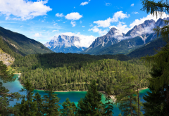 tyrolean alps, austria, alps, mountains, forest, lake, summer, nature, landscape wallpaper