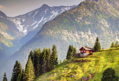 snowy peak, switzerland, tree, house, mountains, field, grass, nature, landscape wallpaper