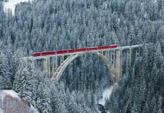 trein, rhaetian railway, langwieser viaduct, bridge, switzerland, nature, winter, forest, snow, tree wallpaper