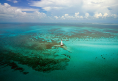 florida keys, key west, nature, coral, sea, lighthouse, beach, florida, water wallpaper