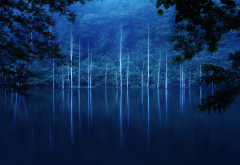 flood, forest, water, trees, lake, nature wallpaper