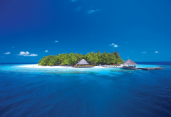 ihuru island resort, maldives islands, angsana ihuru, bungalow, island, tropical, palm trees, nature wallpaper