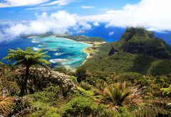 lord howe island, australia, island, tropical, ocean, palm wallpaper