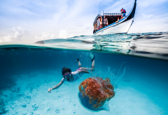 underwater, diving, ocean, boat, jellyfish, snorkeling wallpaper