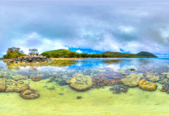 coral, reef, naigani, island, sea, ocean, nature, fiji wallpaper