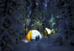 snow, tent, winter, night, light, tree, forest wallpaper