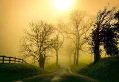 nature, road, mist, grass, tree, morning, fence, sunlight wallpaper
