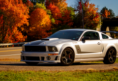2012 roush 427r ford mustang, car, ford mustang, ford wallpaper