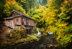 cedar creek grist mill, woodland, washington, river, forest, nature wallpaper