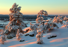 finland, lapland, winter, sunset, snow, tree, nature wallpaper