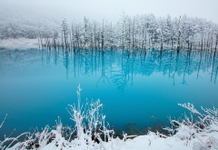 lake, winter, snow, ice, landscape, nature wallpaper