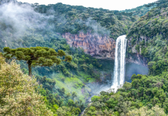 cascata do caracol, caracol falls, waterfall, rio grande do sul, brazil, forest wallpaper