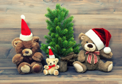 teddy bear, christmas, christmas tree, toy wallpaper